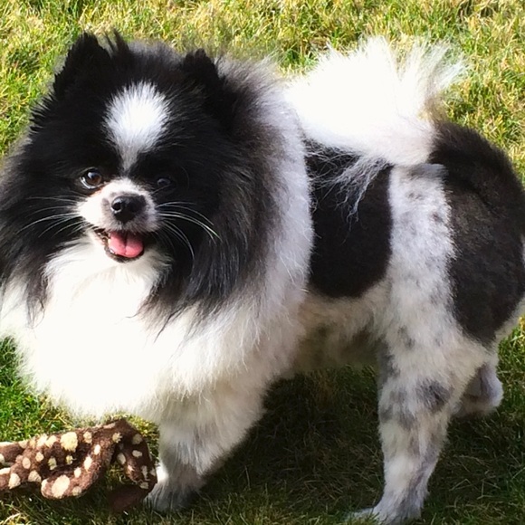 Meet your Posher, Michelle - Picture 5 of 13